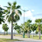 Gấp: Bán lô BT 2 mặt tiền khu Bà Điều giá ra nhanh 8,7 tỷ - Ảnh thu nhỏ 14
