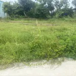 Bán đất Phường Xuân Hòa, vị trí đẹp, đầu tư sinh lời - Ảnh thu nhỏ 10