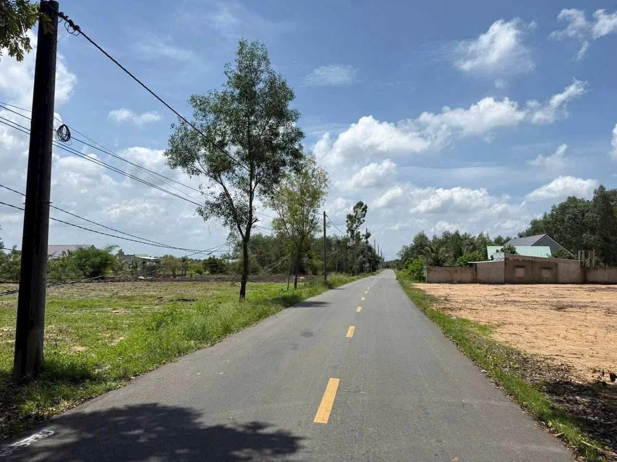Bán đất 300m2 view núi Minh Đạm, có sẵn 80m2 thổ cư, xã Phước Hải - Ảnh thu nhỏ 3