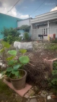 Bán nhà riêng tại 15 Thủ Khoa Huân, 1,2 tỷ, 66,1m2 view đẹp uy tín - Ảnh thu nhỏ 4