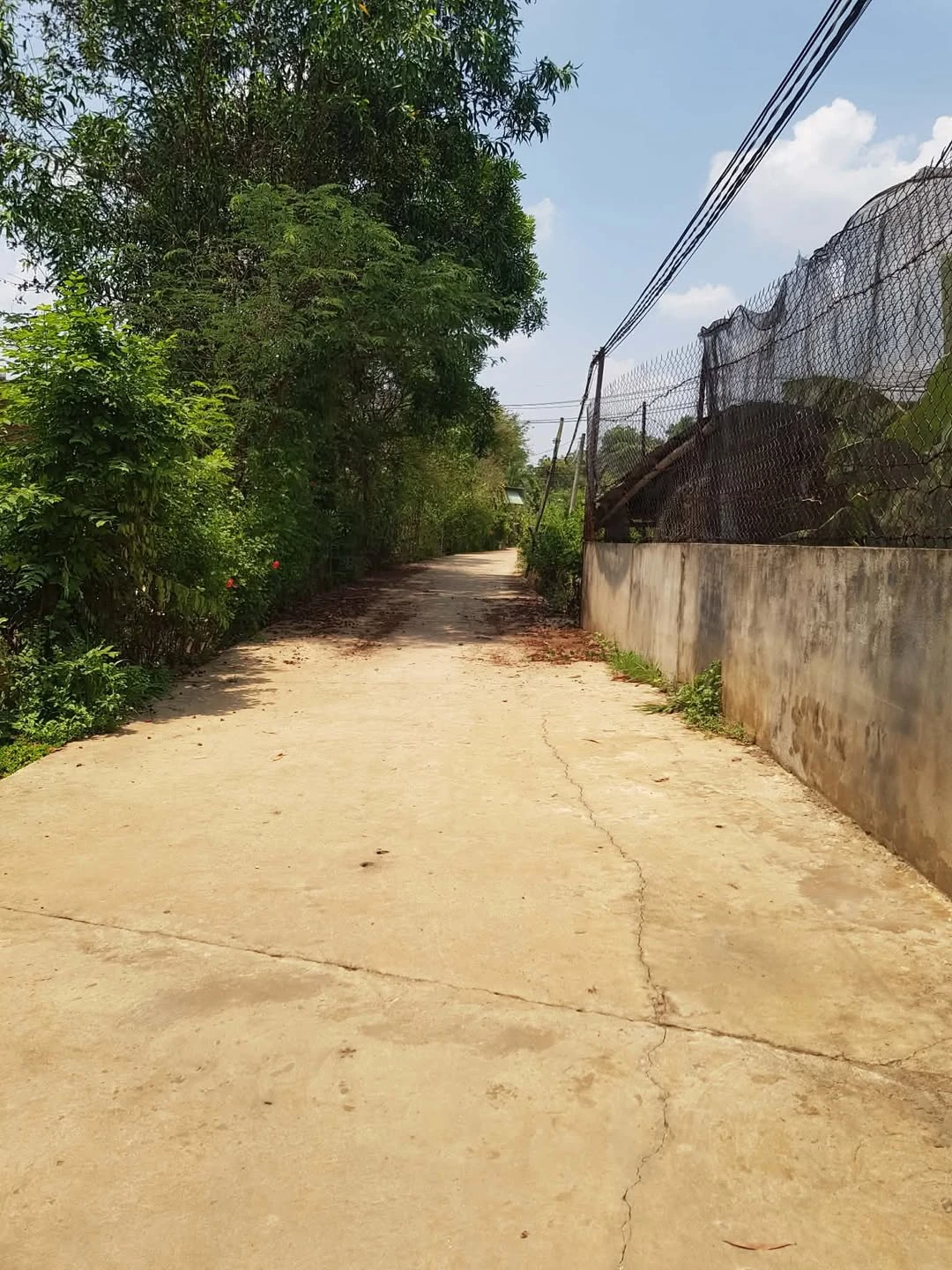 Bán đất nền 5x40m Phường An Lộc, TP Đồng Nai 250 triệu - Ảnh 1
