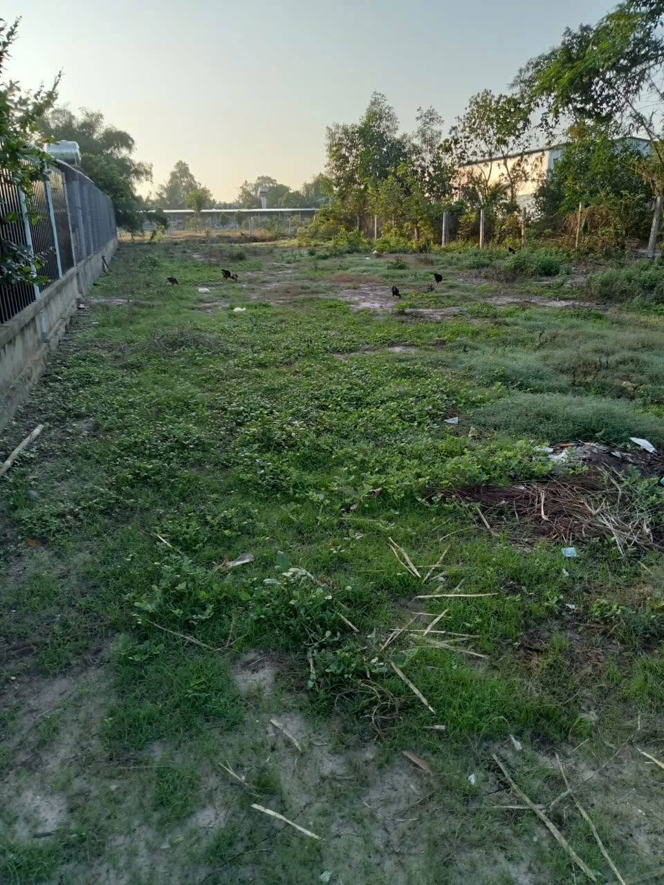 Bán đất 250m² Gò Dầu Tây Ninh gần bệnh viện - Ảnh thu nhỏ 5