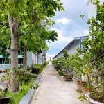 Chuyển nhượng nhà xưởng góc 2 mặt tiền KCN Bến Lức 55 tỷ - Ảnh thu nhỏ 4