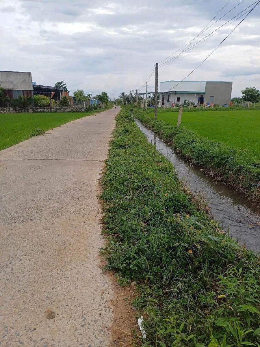 Bán 446m² đất quy hoạch thổ cư Bình Thuận 260 triệu - Ảnh thu nhỏ 3