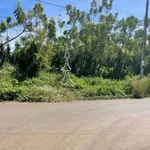 Bán đất 3.367m² mặt tiền 30,6m tại Lộc Tiến, Bảo Lộc 11,5 tỷ - Ảnh thu nhỏ 2