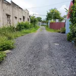 Bán lô đất quy hoạch thổ cư 1786m² với nhà cấp 4 Hàm Mỹ - Ảnh thu nhỏ 2