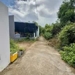 Bán nền 100m² gần Hồ Bơi Xuân Phương, Bến Tre - Ảnh thu nhỏ 3