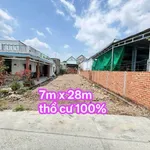 Bán đất mặt tiền 7x28m (196m²) Ba Ngừa Đức Hoà Long An, 2,2 tỷ - Ảnh thu nhỏ 3