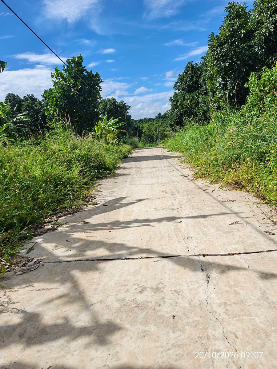 Bán đất 1000m2 mặt tiền 38m Đỗ Xuân Hợp, giá 1 tỷ 5 - Ảnh thu nhỏ 2