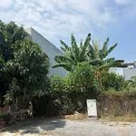 Bán đất mặt tiền đường Nguyễn Thái Học, khu tái định cư 30/4 Long Toàn, Bà Rịa, 5x18m - Ảnh thu nhỏ 2