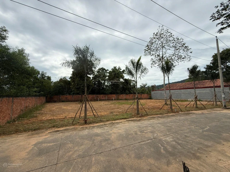 Bán đất 110m2 có thổ cư mặt đường khu Tượng, gần đường lớn. Giá chỉ 1,6 tỷ - Ảnh thu nhỏ 2