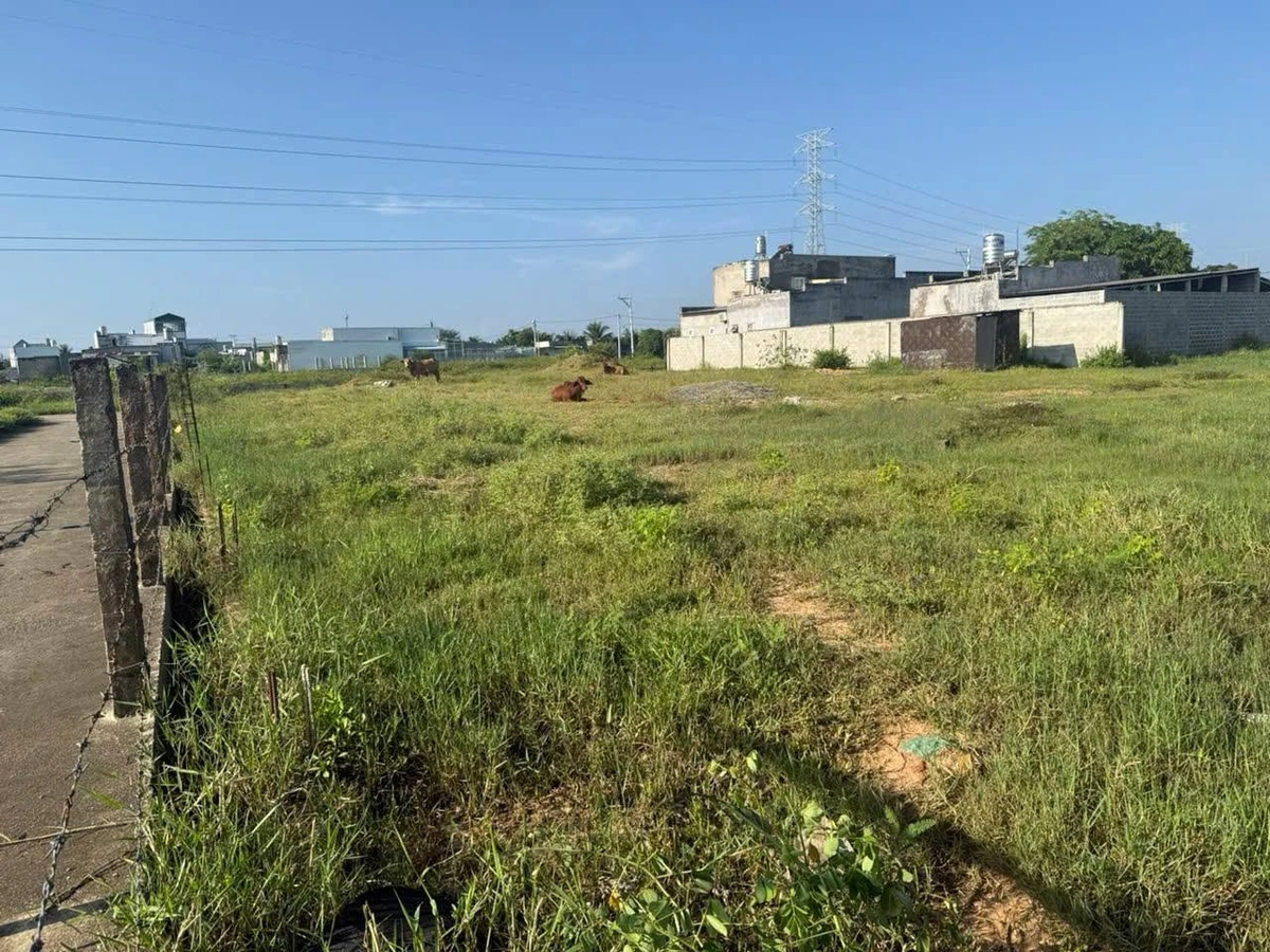 Bán đất 1.777,5 m² Khu Cá Đồng Hàm Thắng Bình Thuận 13 tỷ - Ảnh thu nhỏ 2