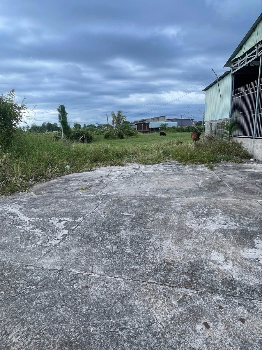 Bán đất 200m² thổ cư Xã Tuyên Quang, Phan Thiết - Ảnh thu nhỏ 2