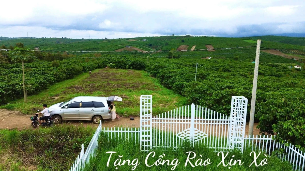 Bán đất nền 91m2 Lâm Đồng, giá 727 triệu, sổ hồng riêng - Ảnh thu nhỏ 2