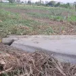 Đất đường nhựa DH3 Gò Công Đông, Tiền Giang, 1.315m2 200m2 thổ cư, tiền làm nhà vườn, giá 1,3 tỷ TL - Ảnh thu nhỏ 21