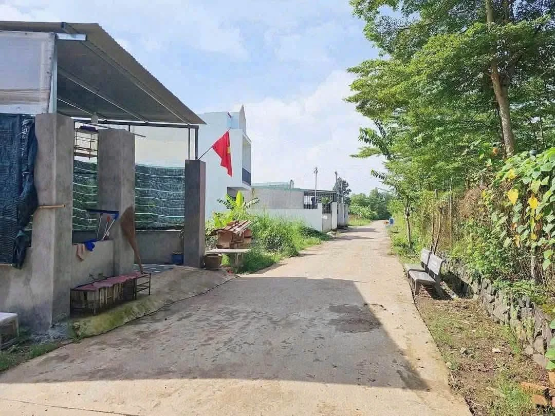Bán đất lô góc 240m² Phường Trảng Bom, Đồng Nai - Ảnh thu nhỏ 4