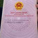 Đất sổ hồng diện tích 1.080m2 hai mặt tiền đường Tỉnh 986A rộng 20m tuyến U Minh - Cà Mau - Ảnh thu nhỏ 20