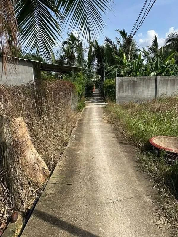 Bán đất Mỹ Thạnh An Bến Tre 1.226m² giá 1 tỷ 150 triệu - Ảnh thu nhỏ 2