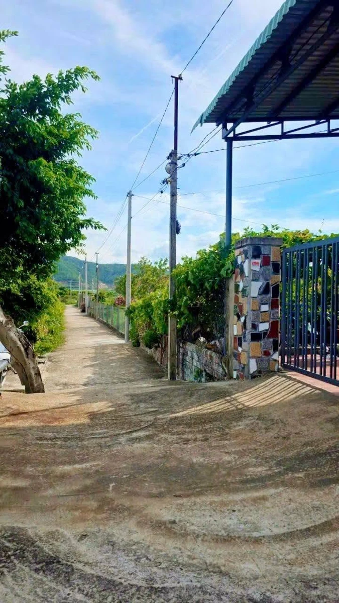 Bán đất vườn có thổ cư 247m2 ngang 10m, giá 390 triệu tại phường An Nhơn Nam - Ảnh 1