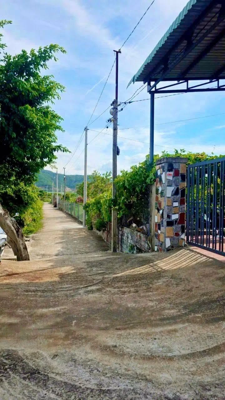 Bán đất vườn có thổ cư 247m2 ngang 10m, giá 390 triệu tại phường An Nhơn Nam - Ảnh 1