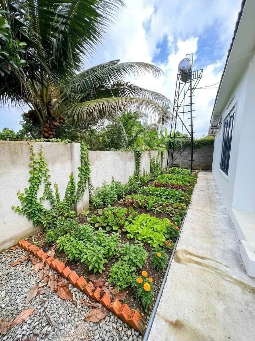Bán nhà 350m² Điều Xiển Long Khánh 690 triệu sổ riêng - Ảnh thu nhỏ 3