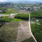 Bán lô đất làm vườn 8685m2 Khánh Hiệp, Khánh Hòa - Ảnh thu nhỏ 2