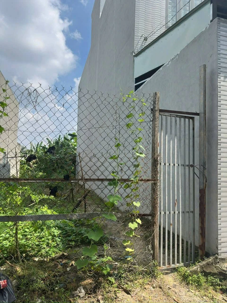 Bán đất Hưng Định 22 Thuận An 192 m² 2 tỷ 750 - Ảnh thu nhỏ 3