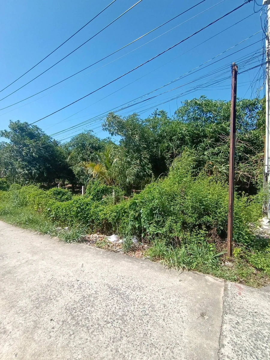 Bán đất vườn 500m² Hàm Mỹ Bình Thuận 1,8 tỷ - Ảnh thu nhỏ 2