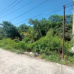 Bán đất vườn 500m² Hàm Mỹ Bình Thuận 1,8 tỷ - Ảnh thu nhỏ 2