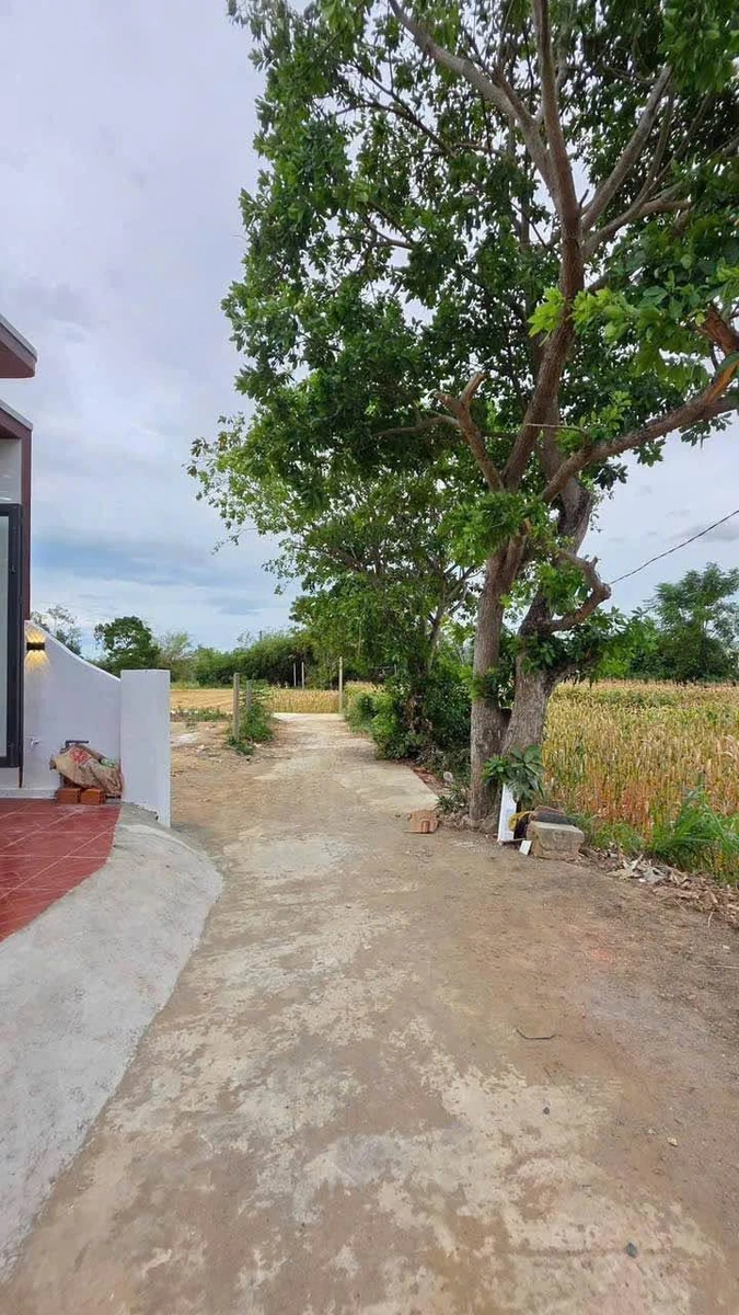 Bán đất 90m2 An Nhơn Nam, sổ hồng riêng - Ảnh thu nhỏ 3