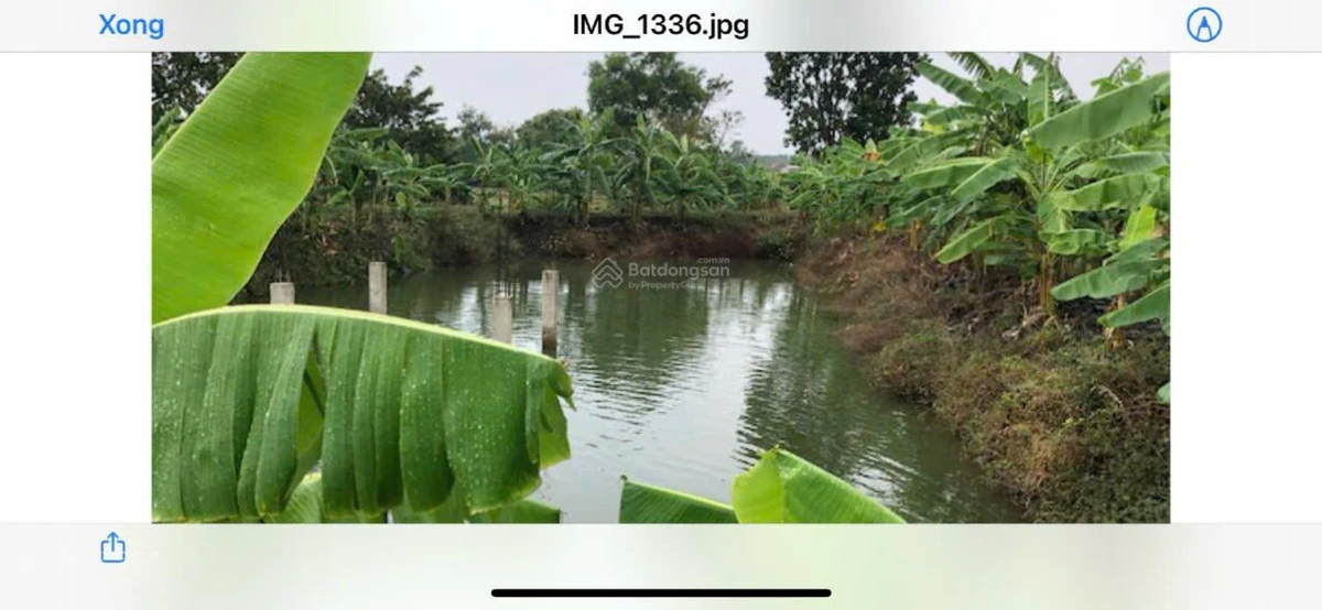 Cần bán khu nghỉ dưỡng tại xã Đá Bạc - Huyện Châu Đức (cũ) - Ảnh thu nhỏ 3