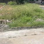 Bán đất 100m² mặt tiền 6m Trung Giã, Hà Nội - Ảnh thu nhỏ 3