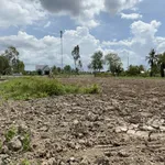Bán đất thổ 960m2 tại đường 986A, Khánh Lâm, U Minh, Cà Mau, giá cực chất 1,75 tỷ - Ảnh thu nhỏ 3