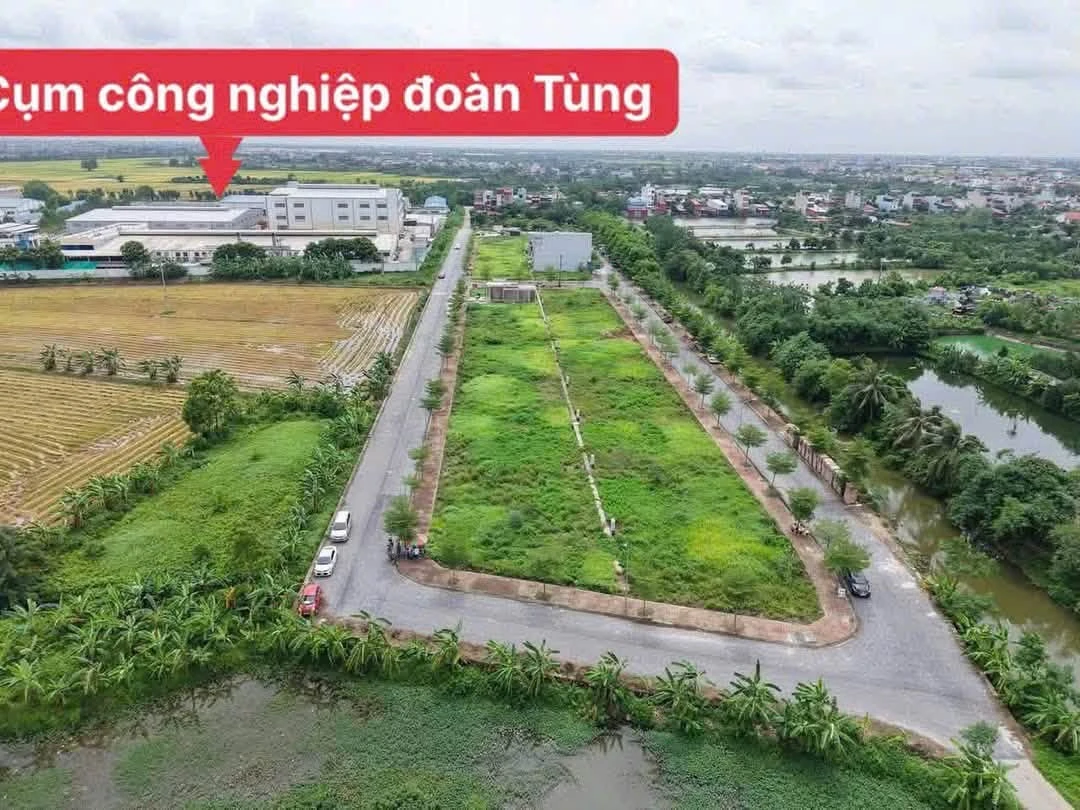 Bán đất nền 85,5m² Thanh Miện Hải Dương giá khoảng 1 tỷ - Ảnh thu nhỏ 4