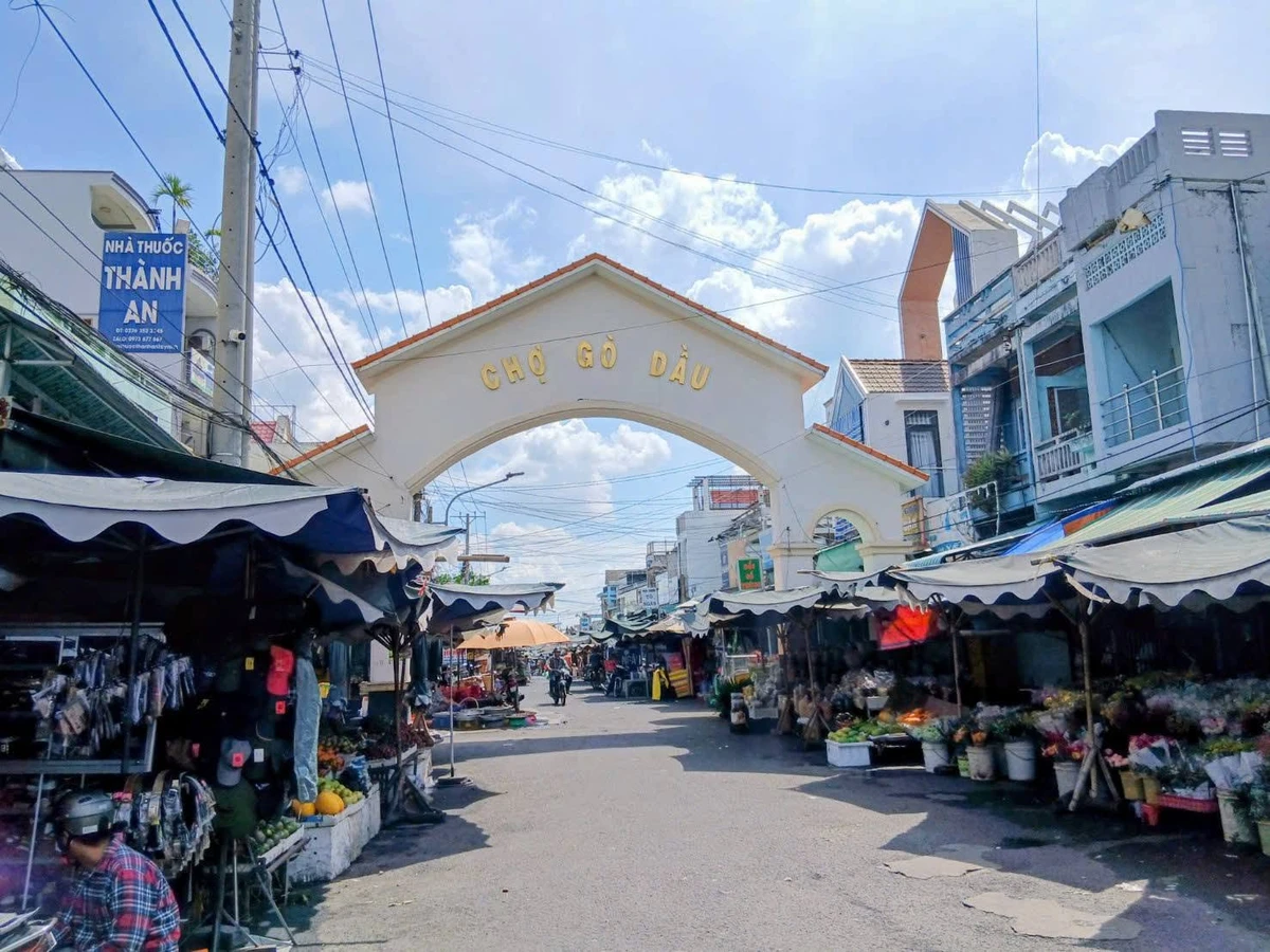 Bán đất thổ cư 150m2 mặt tiền nhựa tại Phước Thạnh, Gò Dầu, Tây Ninh giá 700 triệu - Ảnh thu nhỏ 4