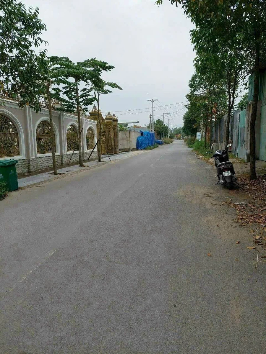 Bán lô đất 100m² sổ riêng, Trảng Dài, Bình Chánh - Ảnh thu nhỏ 2