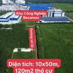 Bán 2 lô đất 250m² xây trọ Chơn Thành Bình Dương - Ảnh thu nhỏ 2