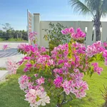 Bán nhà vườn 1.606m² Phan Thiết 1 tỷ 790 triệu - Ảnh thu nhỏ 1