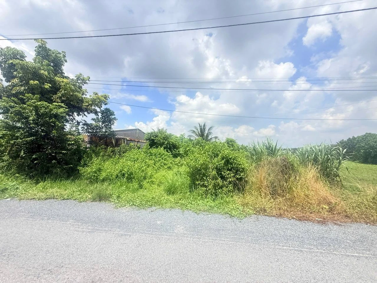 Bán lô đất 200m² Phường Gia Lộc Tây Ninh 1 tỷ 350 triệu - Ảnh thu nhỏ 4