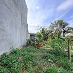 Bán 2 lô đất 81m² hẻm 235 Nguyễn Văn Cừ, Bình Tân - Ảnh thu nhỏ 2