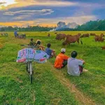 Biệt thự view cánh đồng 900m² Hoà Vang Đà Nẵng 5 tỷ - Ảnh thu nhỏ 3