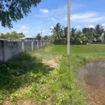 Bán 500m đất cây trồng Hồng Sơn, Lâm Đồng 135 triệu - Ảnh thu nhỏ 3