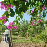 Bán nhà vườn 7.5 sào tại Đồ Sơn, Hải Phòng, 2.9 tỷ - Ảnh thu nhỏ 2