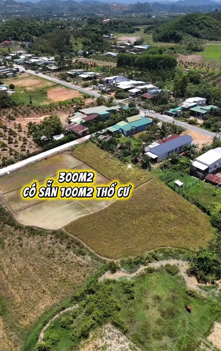 Bán đất 300m2 ngang 6m, 100m2 thổ cư, giá 239 triệu tại Đạ Tẻh, Lâm Đồng - Ảnh 1