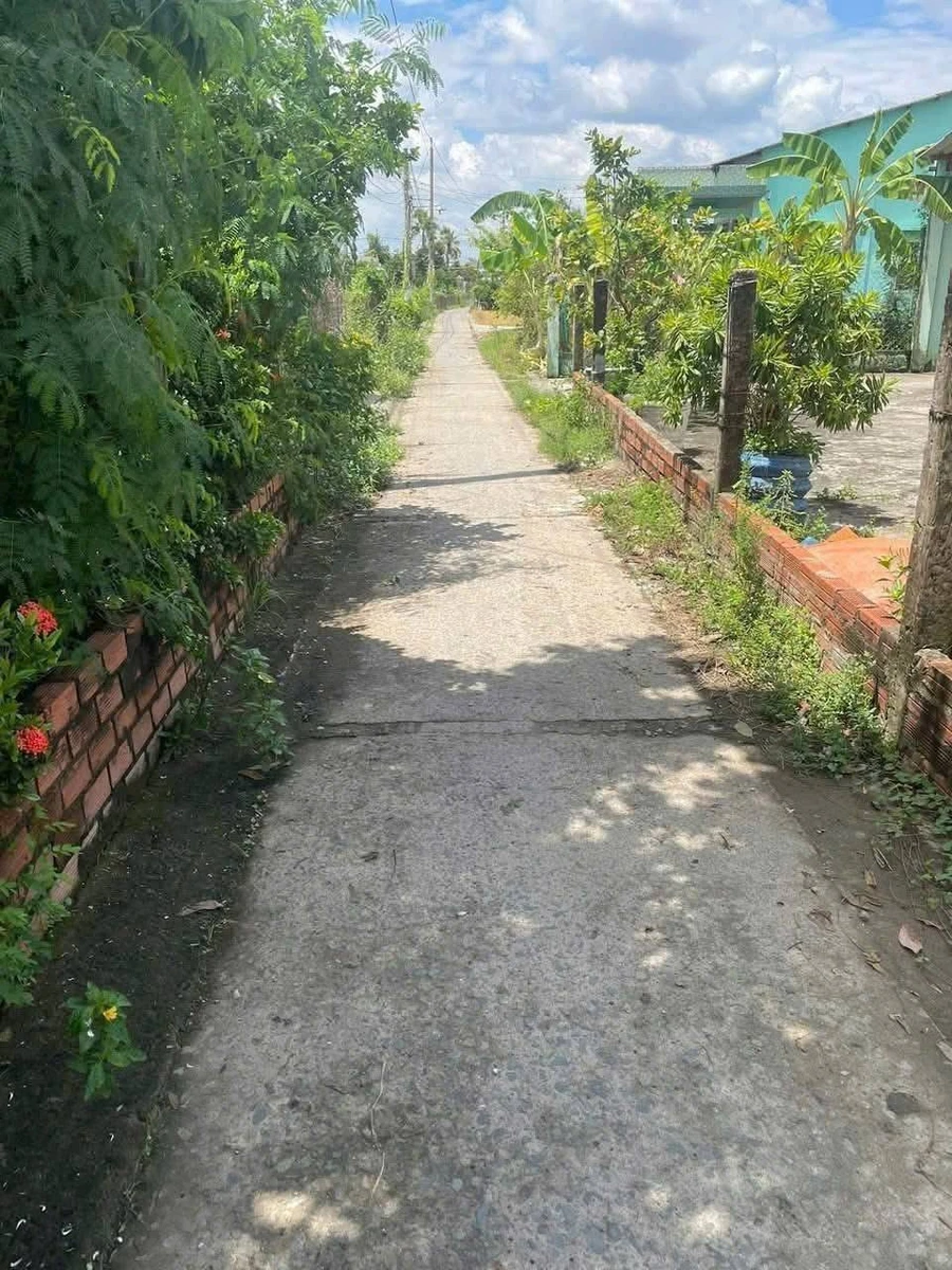 Bán lô đất An Lục Long 160m² Bình Tân 250 triệu - Ảnh 1