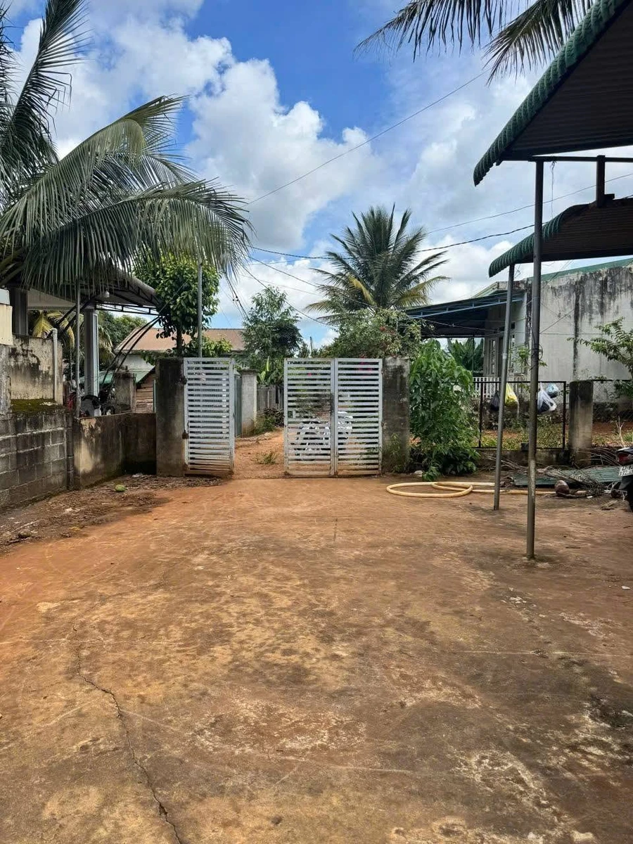 Nhà hẻm bán 1 tỷ 399 Buôn Ma Thuột, 138 m² - Ảnh 1