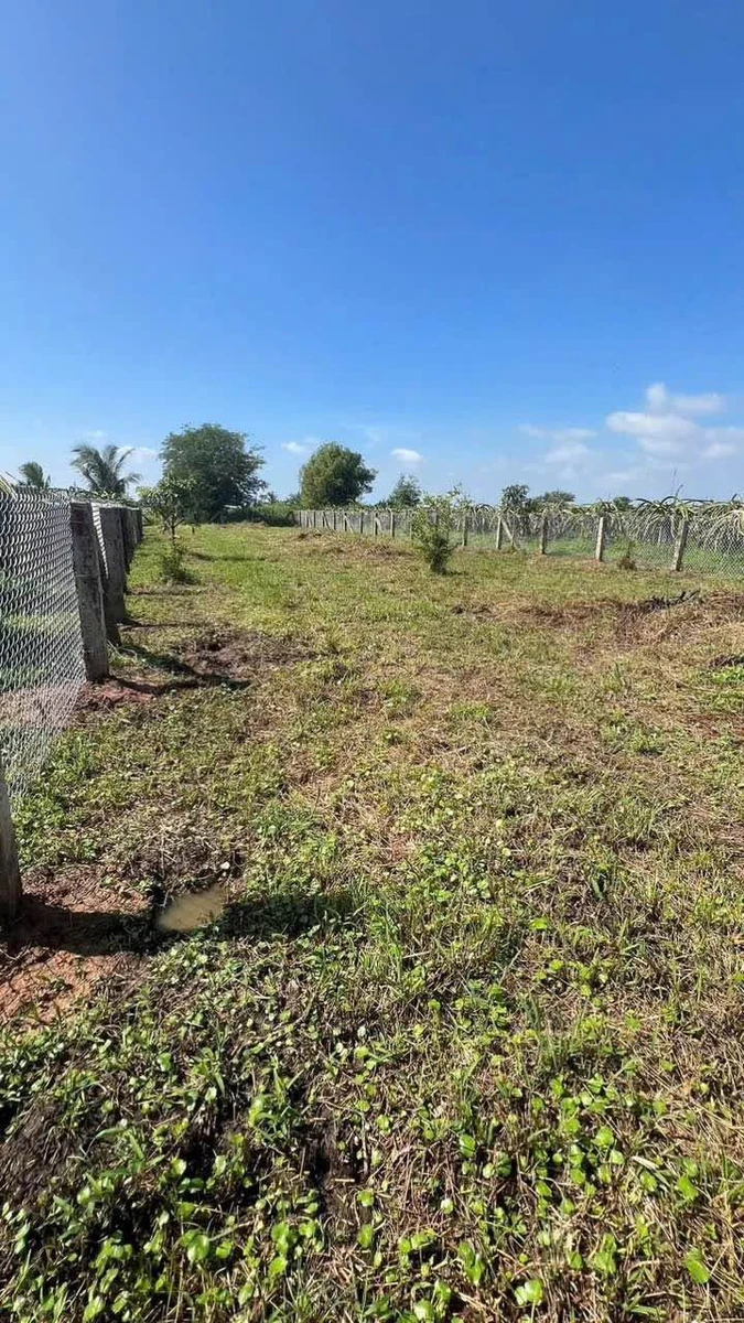 Bán lô đất 1 sào Hàm Liêm Phan Thiết 470 triệu - Ảnh thu nhỏ 4