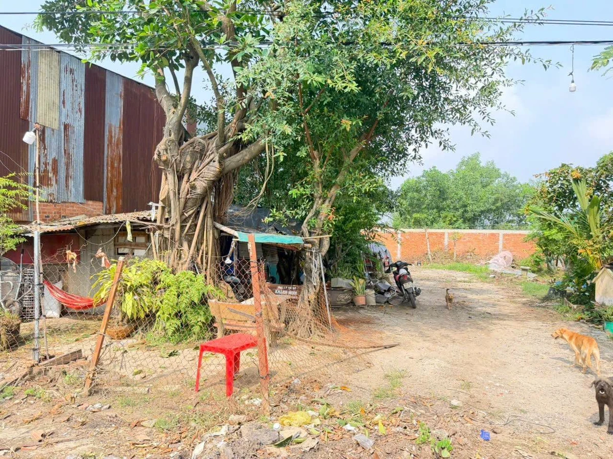 Bán đất mặt tiền QL 22B, 235m², Tây Ninh - Ảnh 1