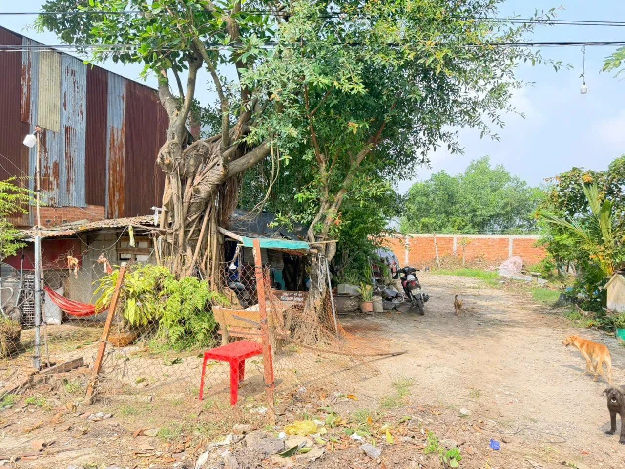 Bán đất mặt tiền QL 22B, 235m², Tây Ninh - Ảnh 1