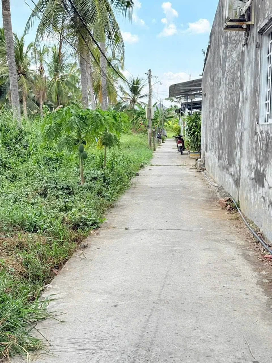 Bán đất Bến Tre (Bình Phú) 114m2 - 550 triệu - Ảnh thu nhỏ 4
